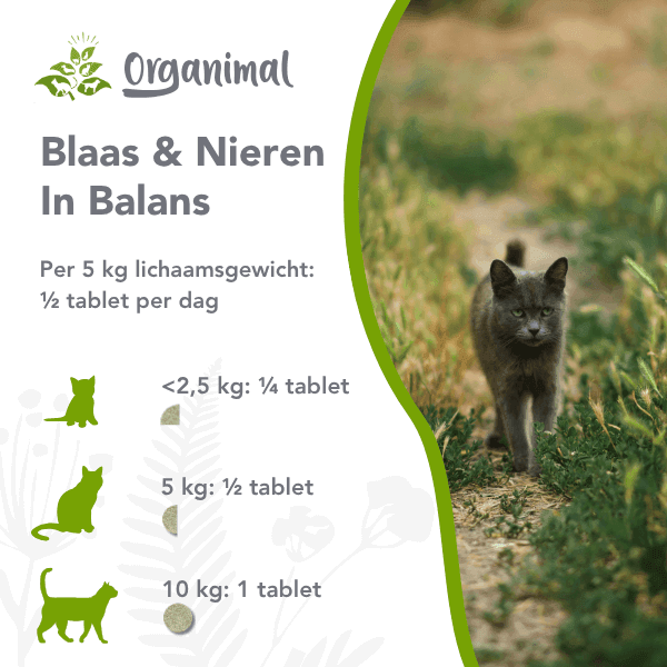 Organimal Blaas & Nieren in Balans - Katten - Afbeelding 2