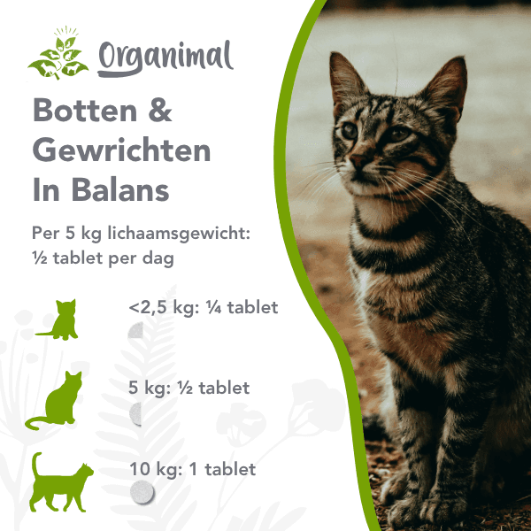 Organimal Botten & Gewrichten in Balans - Katten - Afbeelding 2