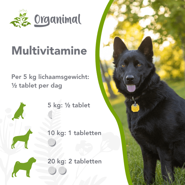 Organimal Multivitamine - Honden - Afbeelding 2