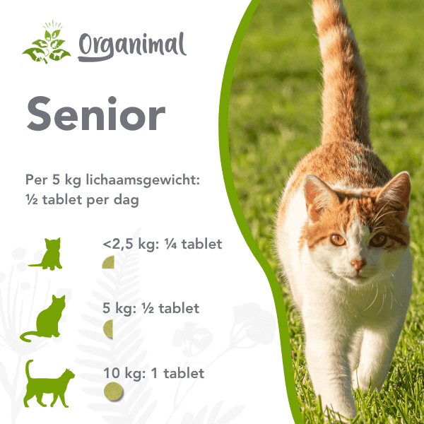 Organimal Senior - Katten - Afbeelding 2
