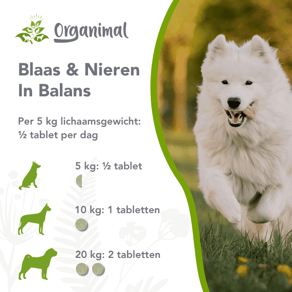 Organimal Blaas & Nieren In Balans - Honden - Afbeelding 2