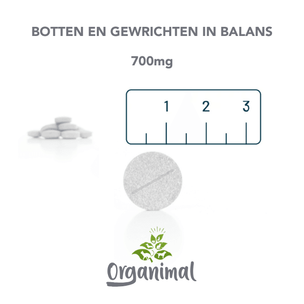 Organimal Botten & Gewrichten in Balans - Honden - Afbeelding 3