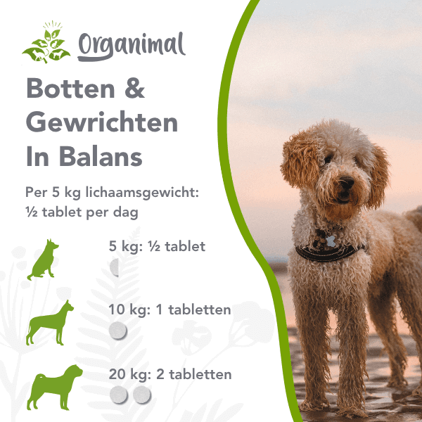 Organimal Botten & Gewrichten in Balans - Honden - Afbeelding 2