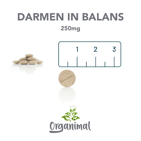 Darmen In Balans - Honden - Afbeelding 3