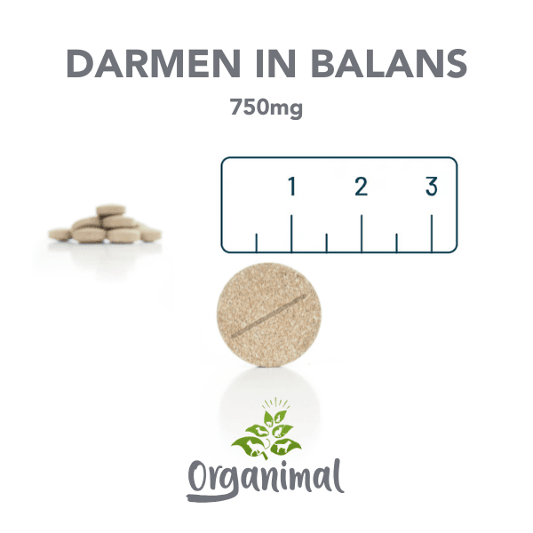 Darmen In Balans - Honden - Afbeelding 4