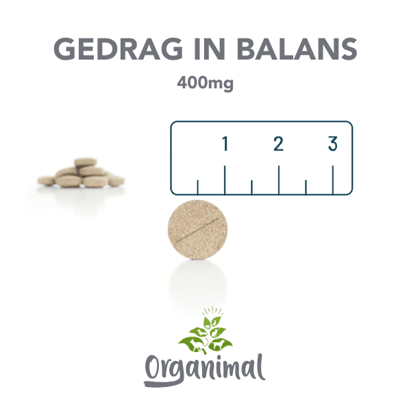 Gedrag In Balans - Katten - Afbeelding 3