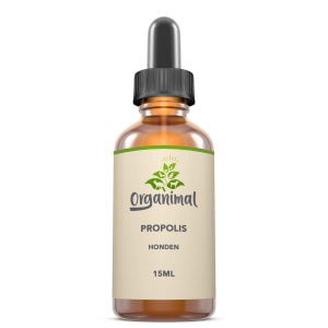 Propolis voor hond
