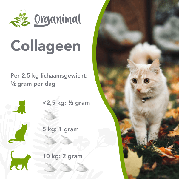 Organimal Collageen - Katten - Afbeelding 2