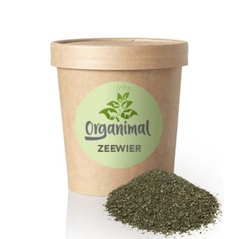 Organimal Zeewier - Katten