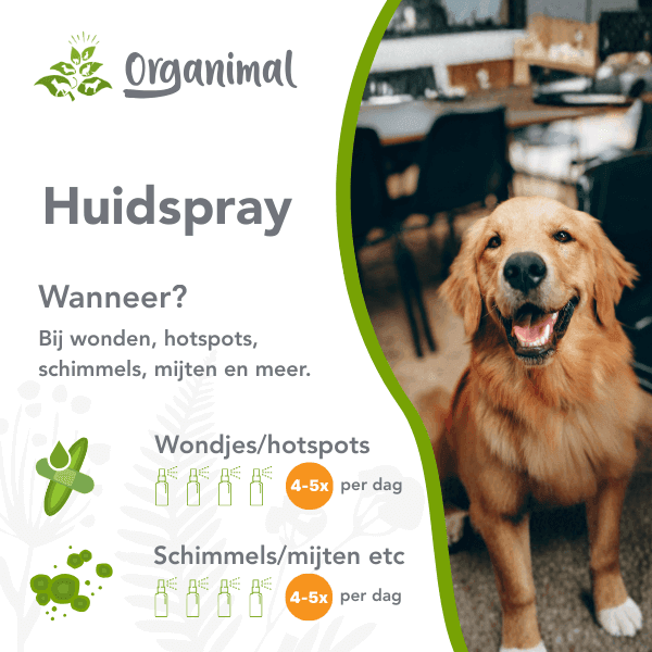 Organimal Huidspray - Honden - Afbeelding 2