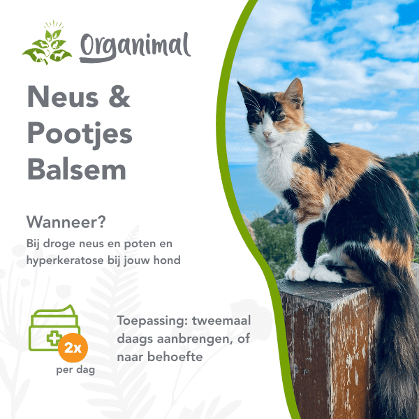 Organimal Neus & Pootjes Balsem - Katten - Afbeelding 2