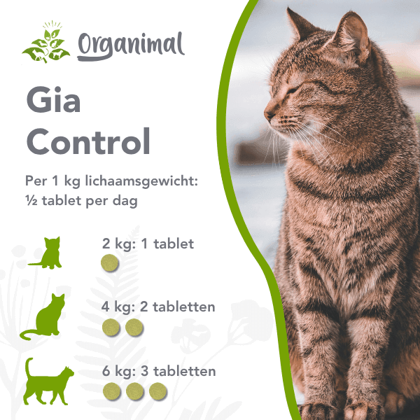 Organimal Gia Control - Katten - Afbeelding 2