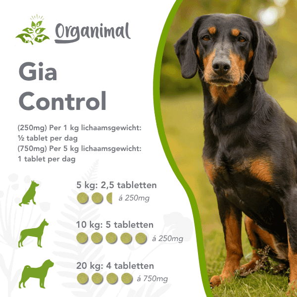 Organimal Gia Control - Honden - Afbeelding 2