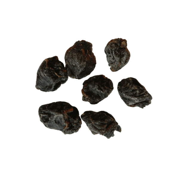 Organimal Konijnenlong Trainers